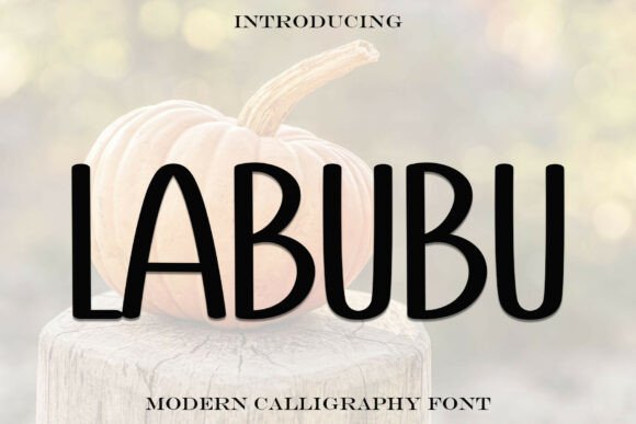 Labubu: A Sweet Handwritten Font for Joyful Design
